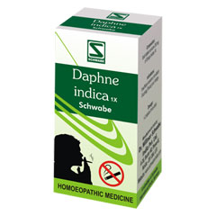 Daphne-indica-1x